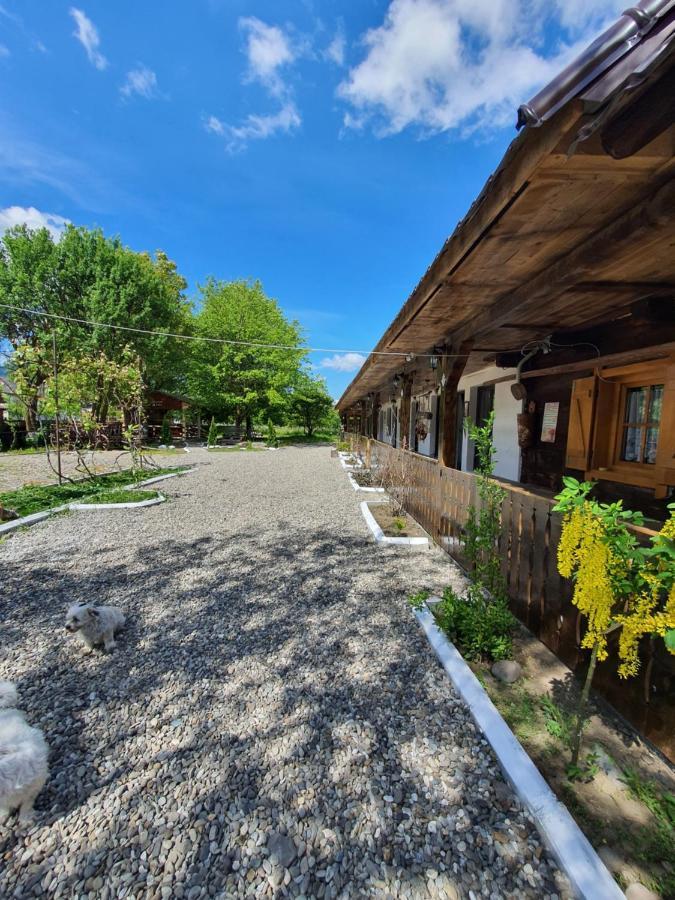 La Romaneasa Săpînţa Eksteriør billede
