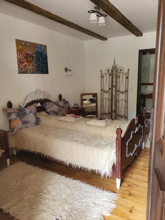 La Romaneasa Săpînţa Eksteriør billede