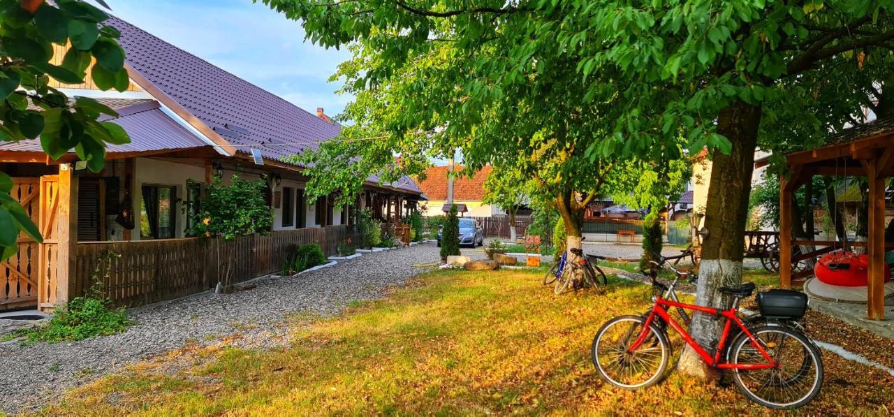 La Romaneasa Săpînţa Eksteriør billede