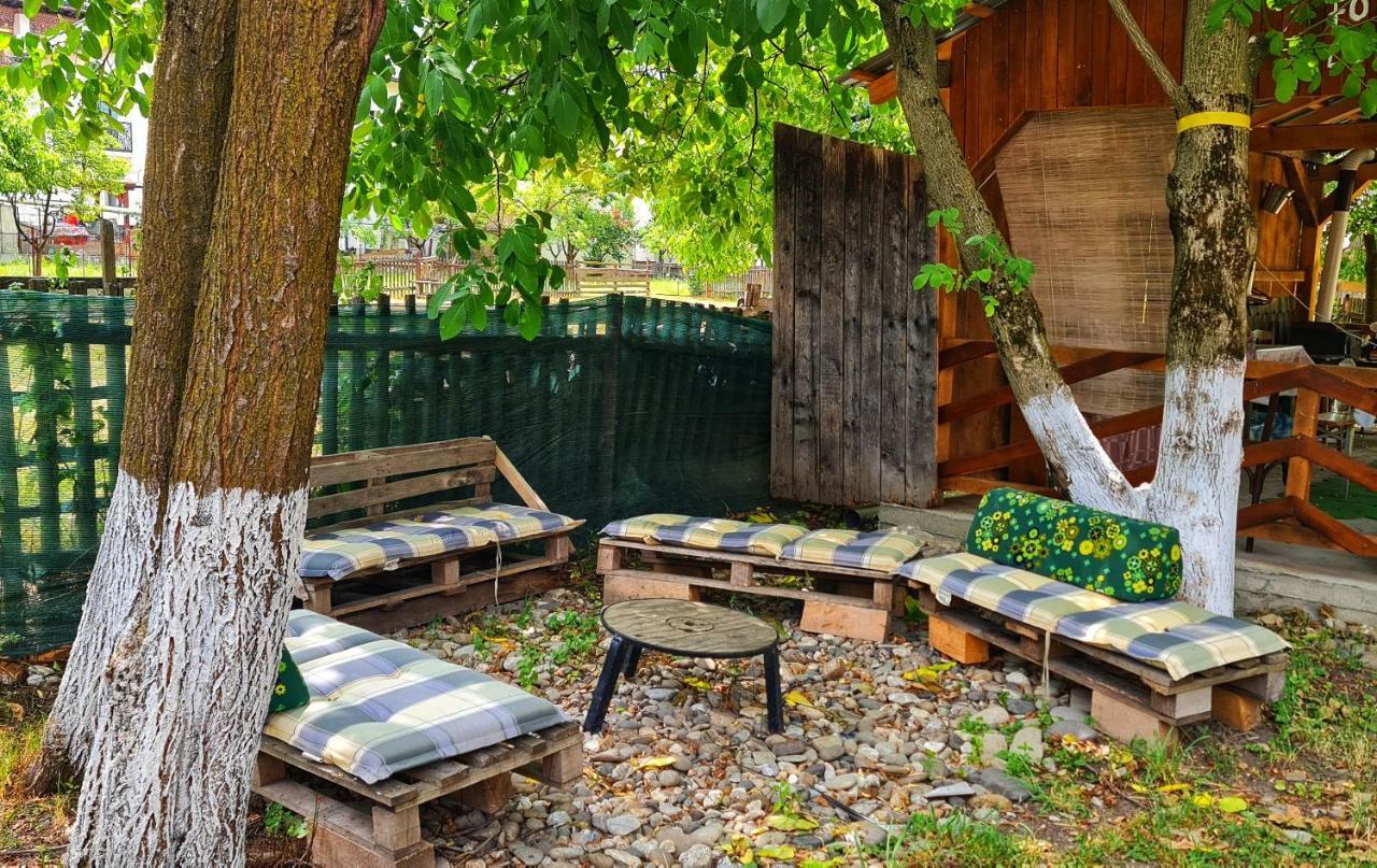 La Romaneasa Săpînţa Eksteriør billede